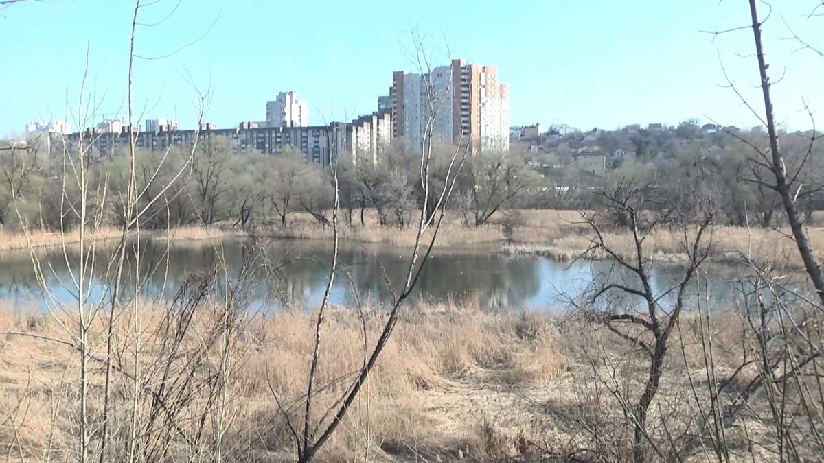 Совские пруды киев Совские пруды киев