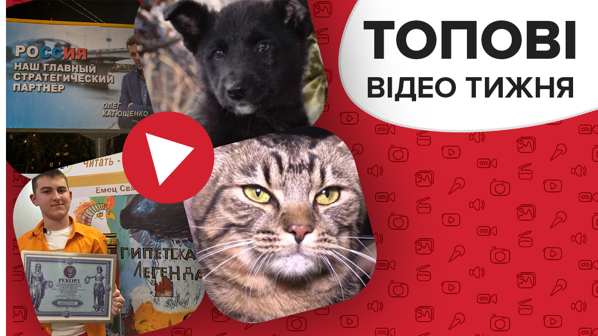 Видео недели Видео недели