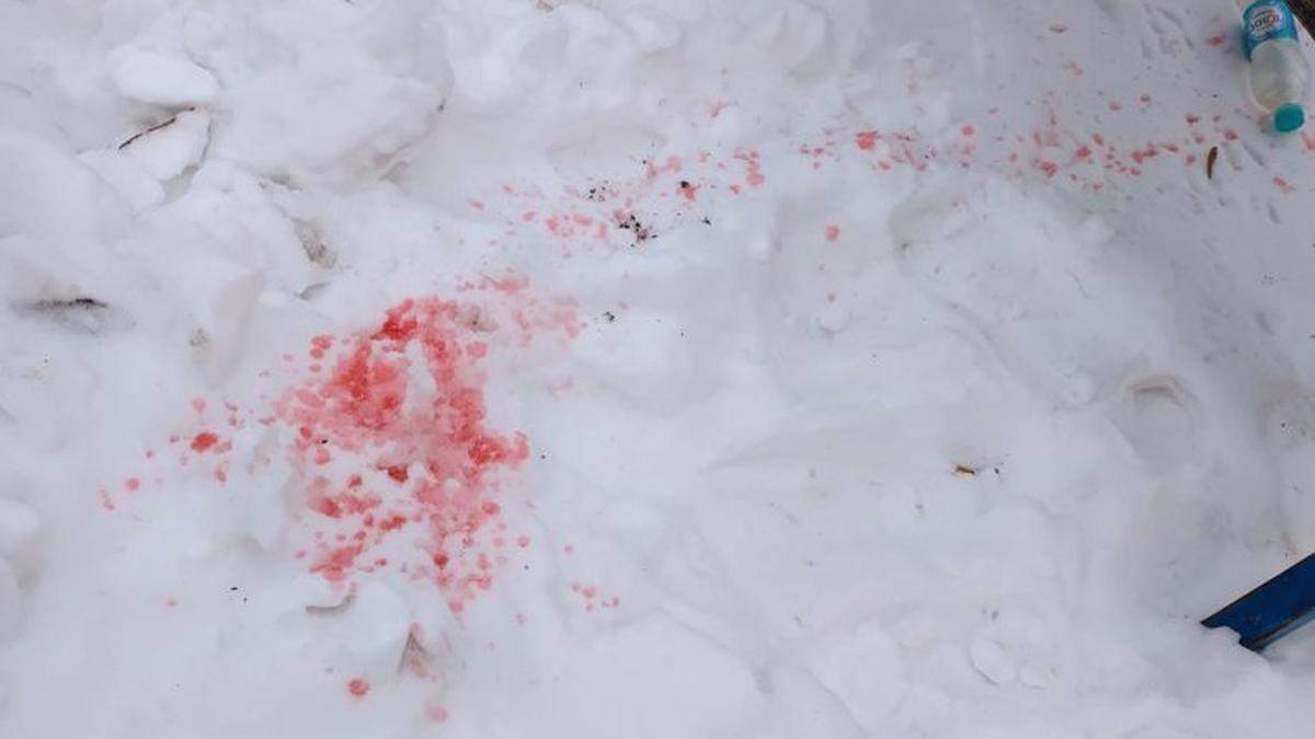 Рожевий сніг у Києві виявився не отрутою Рожевий сніг у Києві виявився не отрутою